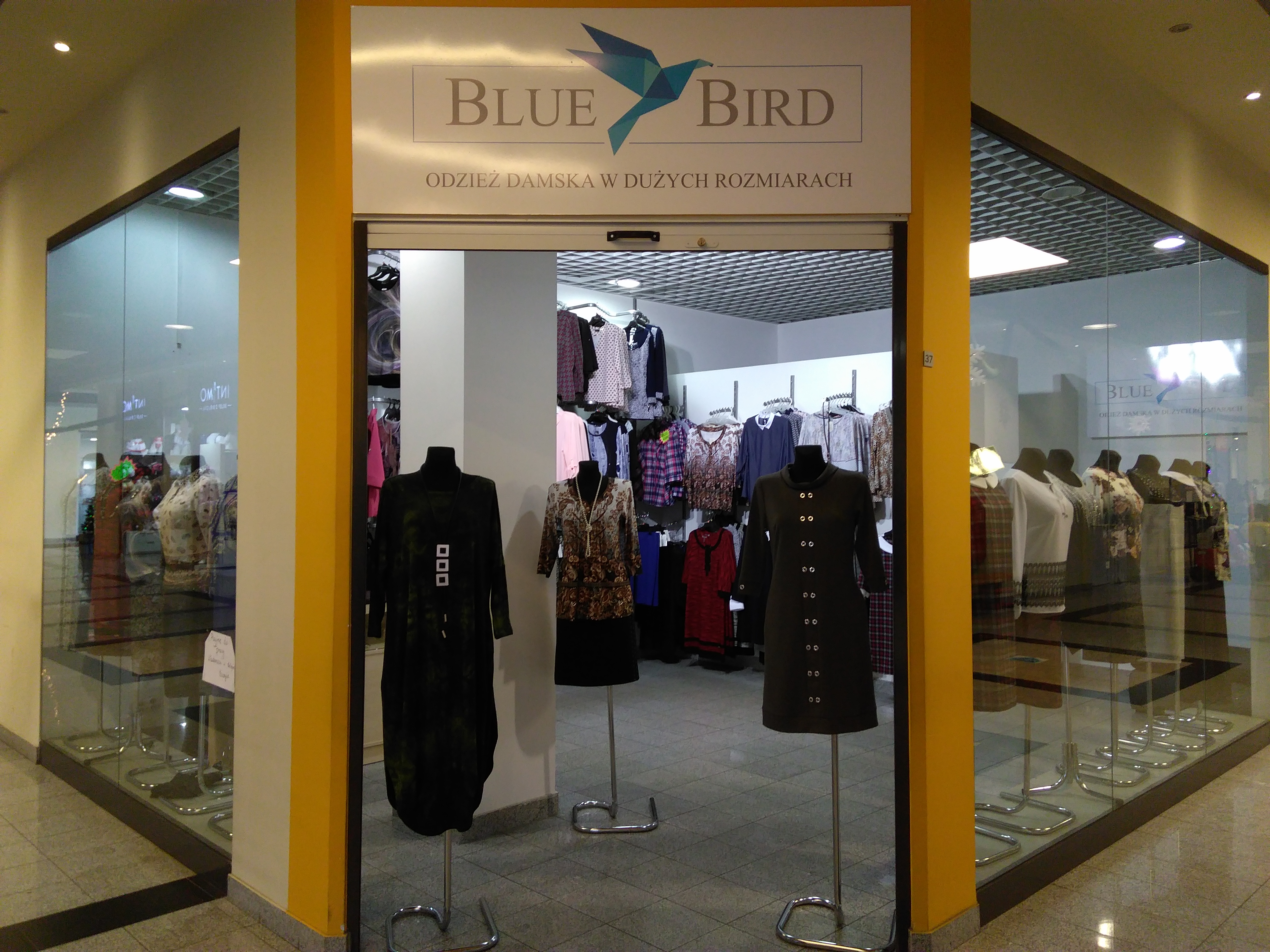 Blue Bird Blue Bird